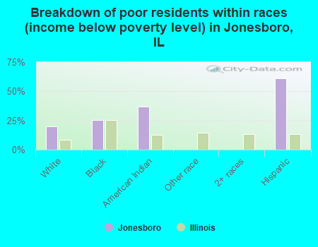 Breakdown of poor residents within races (income below poverty level) in Jonesboro, IL