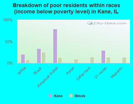 Breakdown of poor residents within races (income below poverty level) in Kane, IL