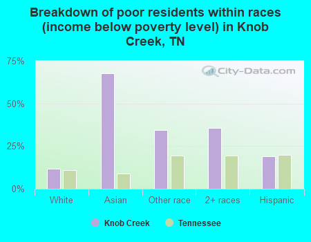 Breakdown of poor residents within races (income below poverty level) in Knob Creek, TN