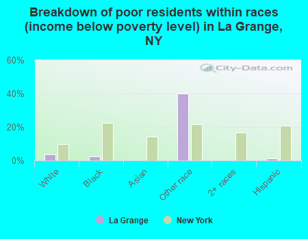 Breakdown of poor residents within races (income below poverty level) in La Grange, NY