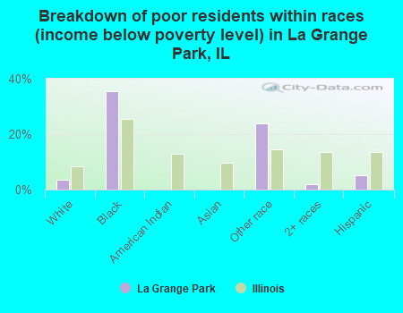 Breakdown of poor residents within races (income below poverty level) in La Grange Park, IL