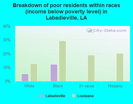 Breakdown of poor residents within races (income below poverty level) in Labadieville, LA