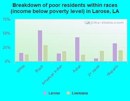 Breakdown of poor residents within races (income below poverty level) in Larose, LA