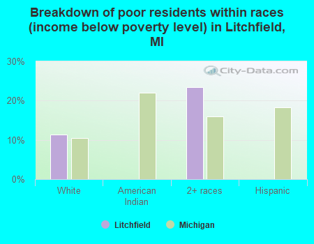 Breakdown of poor residents within races (income below poverty level) in Litchfield, MI