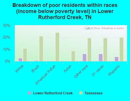 Breakdown of poor residents within races (income below poverty level) in Lower Rutherford Creek, TN