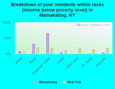 Breakdown of poor residents within races (income below poverty level) in Mamakating, NY