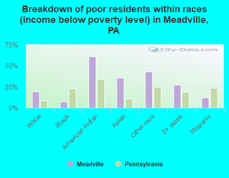 Breakdown of poor residents within races (income below poverty level) in Meadville, PA