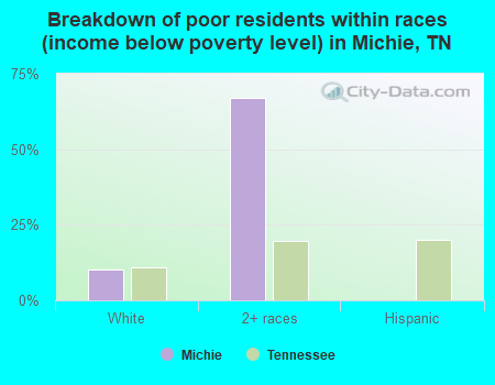 Breakdown of poor residents within races (income below poverty level) in Michie, TN