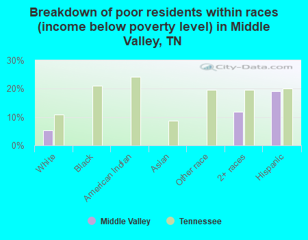 Breakdown of poor residents within races (income below poverty level) in Middle Valley, TN
