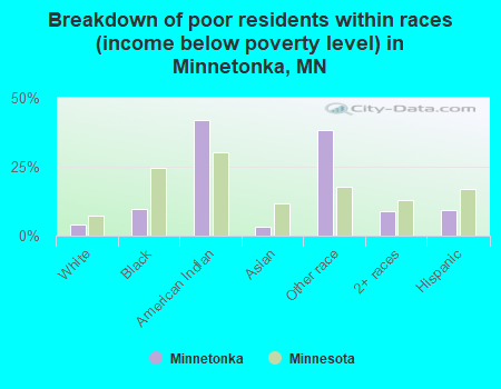 Breakdown of poor residents within races (income below poverty level) in Minnetonka, MN