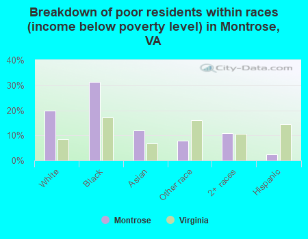 Breakdown of poor residents within races (income below poverty level) in Montrose, VA