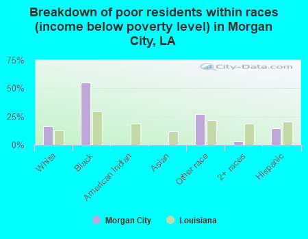 Breakdown of poor residents within races (income below poverty level) in Morgan City, LA