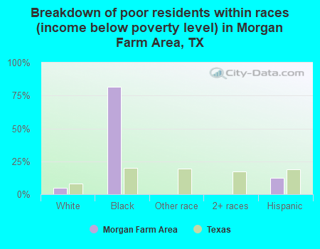 Breakdown of poor residents within races (income below poverty level) in Morgan Farm Area, TX