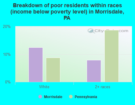 Breakdown of poor residents within races (income below poverty level) in Morrisdale, PA