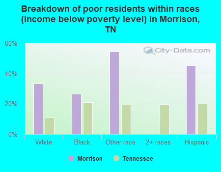 Breakdown of poor residents within races (income below poverty level) in Morrison, TN