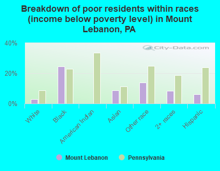 Breakdown of poor residents within races (income below poverty level) in Mount Lebanon, PA