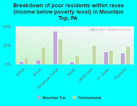 Breakdown of poor residents within races (income below poverty level) in Mountain Top, PA