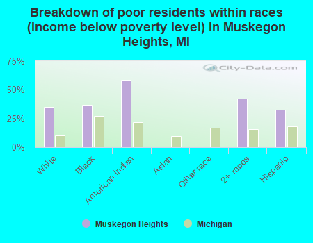 Breakdown of poor residents within races (income below poverty level) in Muskegon Heights, MI