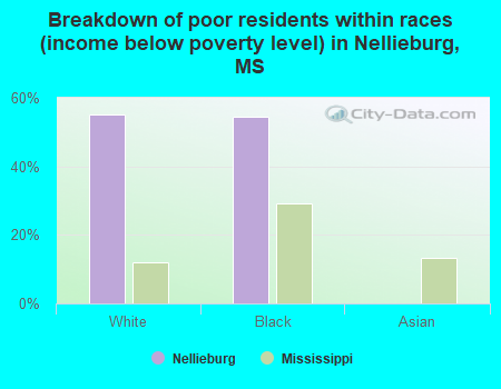 Breakdown of poor residents within races (income below poverty level) in Nellieburg, MS