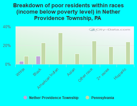 Breakdown of poor residents within races (income below poverty level) in Nether Providence Township, PA