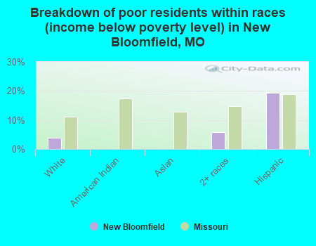 Breakdown of poor residents within races (income below poverty level) in New Bloomfield, MO