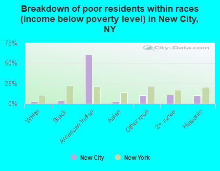 Breakdown of poor residents within races (income below poverty level) in New City, NY