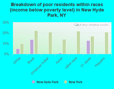 Breakdown of poor residents within races (income below poverty level) in New Hyde Park, NY