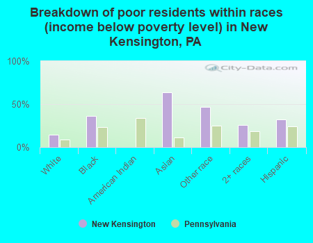 Breakdown of poor residents within races (income below poverty level) in New Kensington, PA