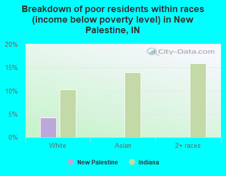 Breakdown of poor residents within races (income below poverty level) in New Palestine, IN
