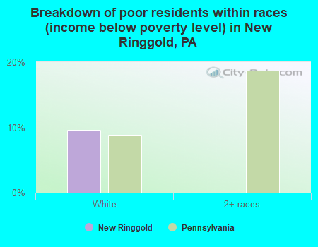 Breakdown of poor residents within races (income below poverty level) in New Ringgold, PA