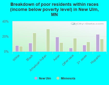 Breakdown of poor residents within races (income below poverty level) in New Ulm, MN