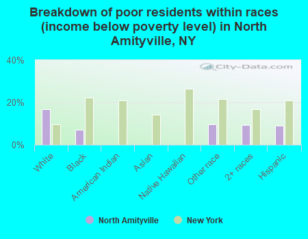 Breakdown of poor residents within races (income below poverty level) in North Amityville, NY
