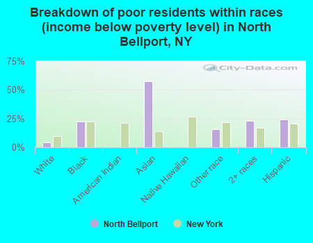 Breakdown of poor residents within races (income below poverty level) in North Bellport, NY