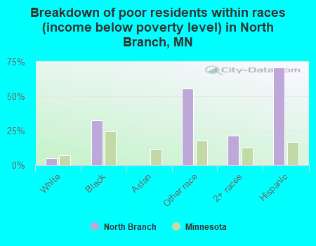 Breakdown of poor residents within races (income below poverty level) in North Branch, MN