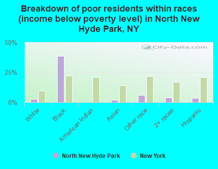 Breakdown of poor residents within races (income below poverty level) in North New Hyde Park, NY