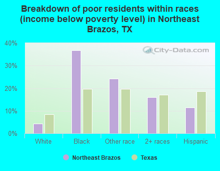 Breakdown of poor residents within races (income below poverty level) in Northeast Brazos, TX