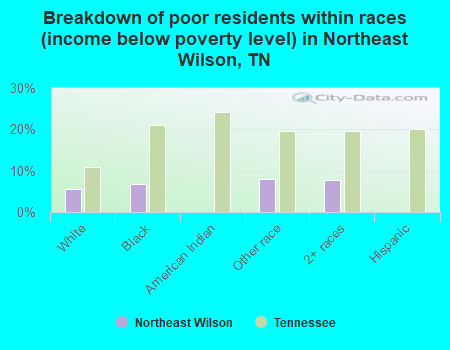 Breakdown of poor residents within races (income below poverty level) in Northeast Wilson, TN