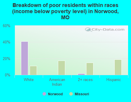 Breakdown of poor residents within races (income below poverty level) in Norwood, MO