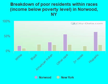 Breakdown of poor residents within races (income below poverty level) in Norwood, NY