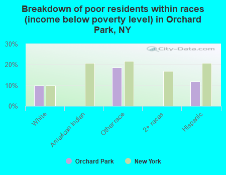 Breakdown of poor residents within races (income below poverty level) in Orchard Park, NY