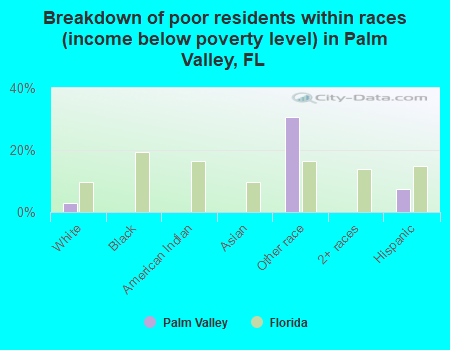 Breakdown of poor residents within races (income below poverty level) in Palm Valley, FL