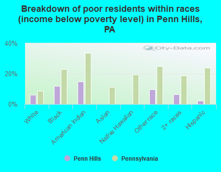 Breakdown of poor residents within races (income below poverty level) in Penn Hills, PA