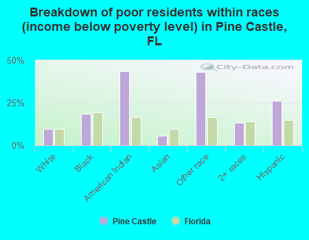 Breakdown of poor residents within races (income below poverty level) in Pine Castle, FL