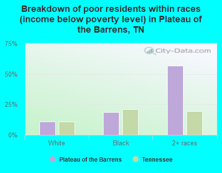 Breakdown of poor residents within races (income below poverty level) in Plateau of the Barrens, TN