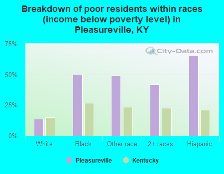 Breakdown of poor residents within races (income below poverty level) in Pleasureville, KY