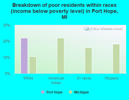 Breakdown of poor residents within races (income below poverty level) in Port Hope, MI