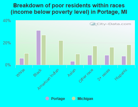 Breakdown of poor residents within races (income below poverty level) in Portage, MI