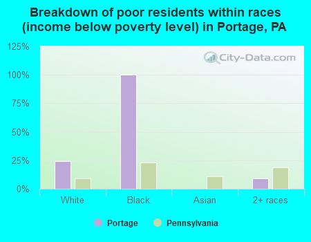 Breakdown of poor residents within races (income below poverty level) in Portage, PA