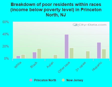 Breakdown of poor residents within races (income below poverty level) in Princeton North, NJ