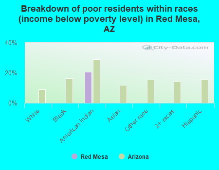 Breakdown of poor residents within races (income below poverty level) in Red Mesa, AZ